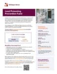 preview image of first page Lead Poisoning Prevention Fund Flyer