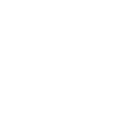 Effluent filter