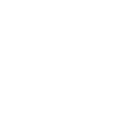 Access risers